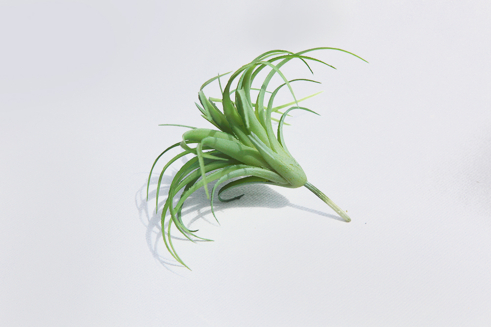 µðÅ×ÀÏ03