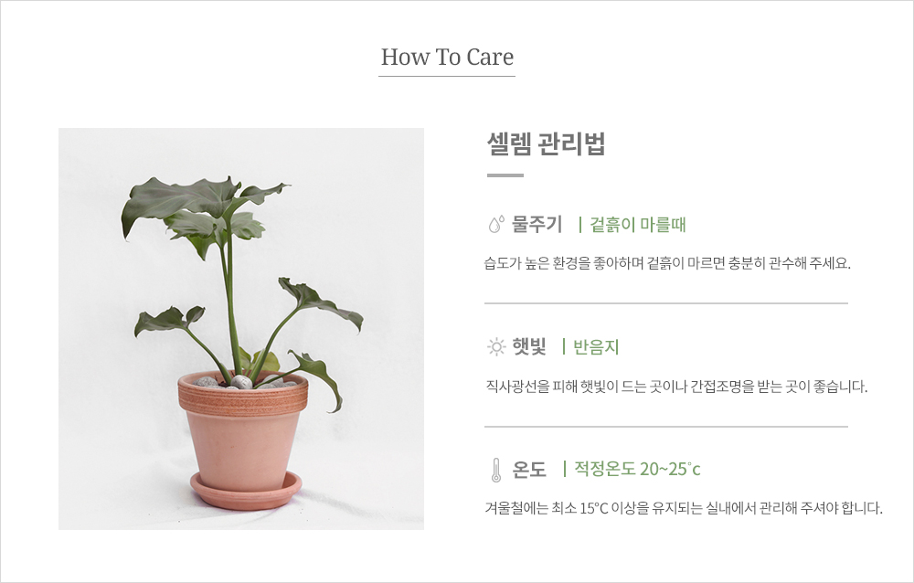 디테일01