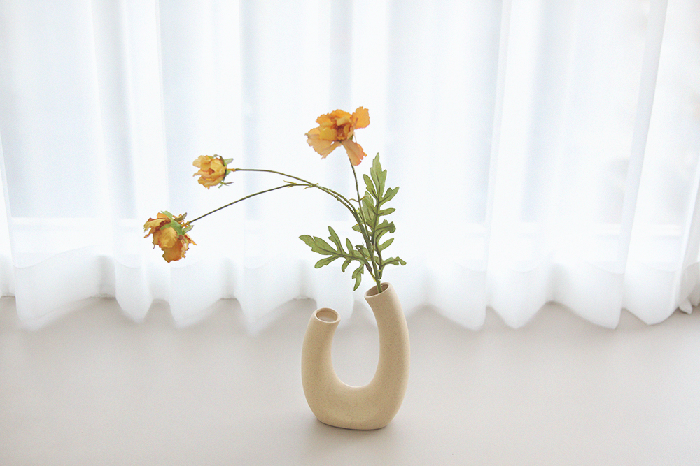 µðÅ×ÀÏ01