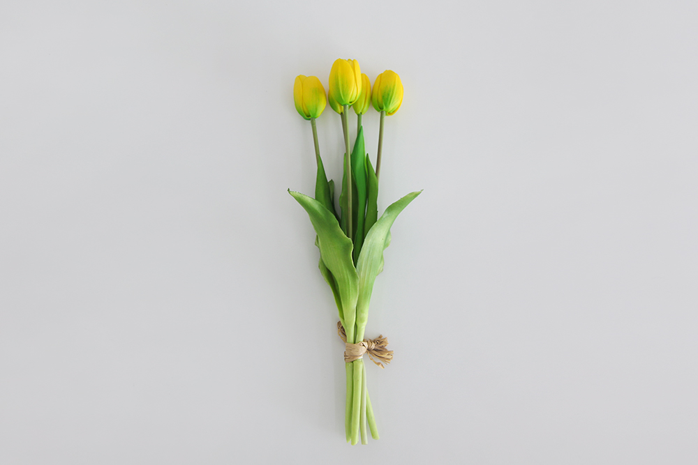 µðÅ×ÀÏ01