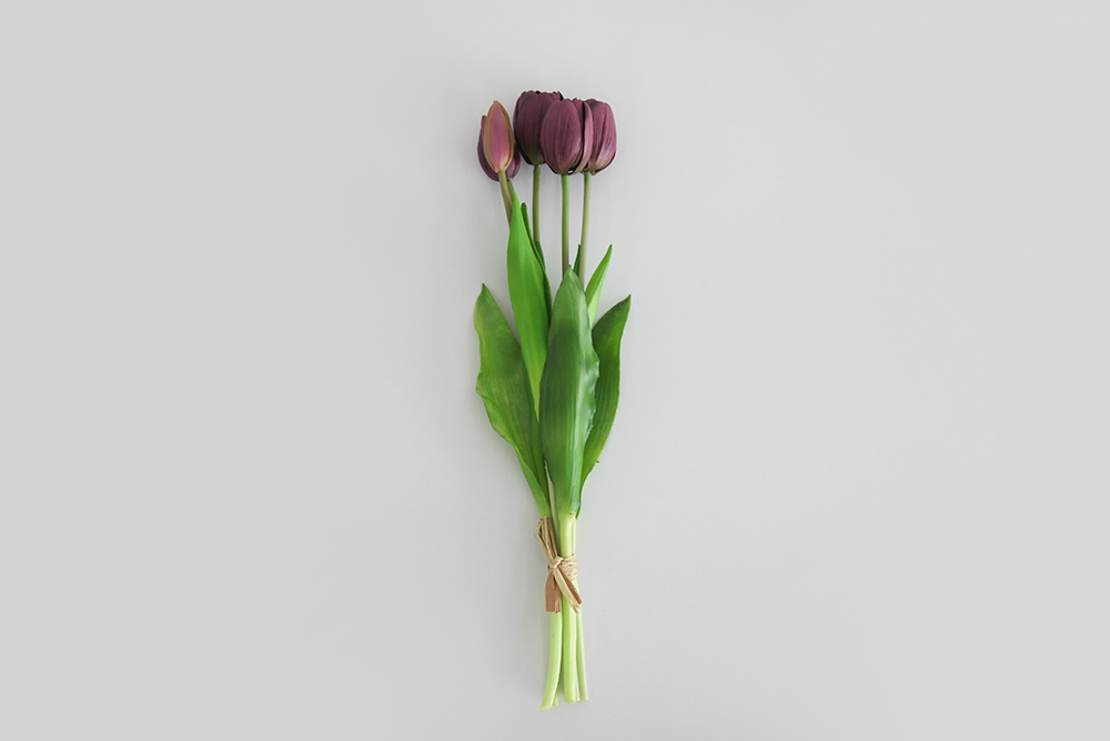 µðÅ×ÀÏ01
