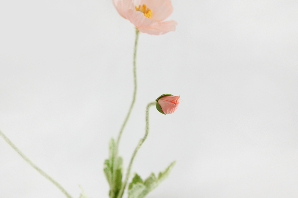 µðÅ×ÀÏ01